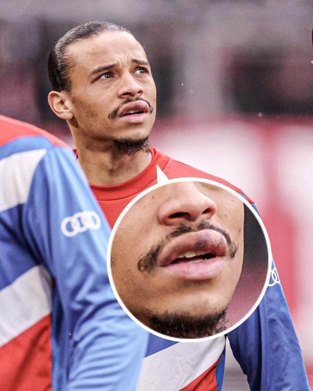 1681687482328068625.jpg 352eb006-7dc2-4a36-8163-de9df31b0a55.jpg